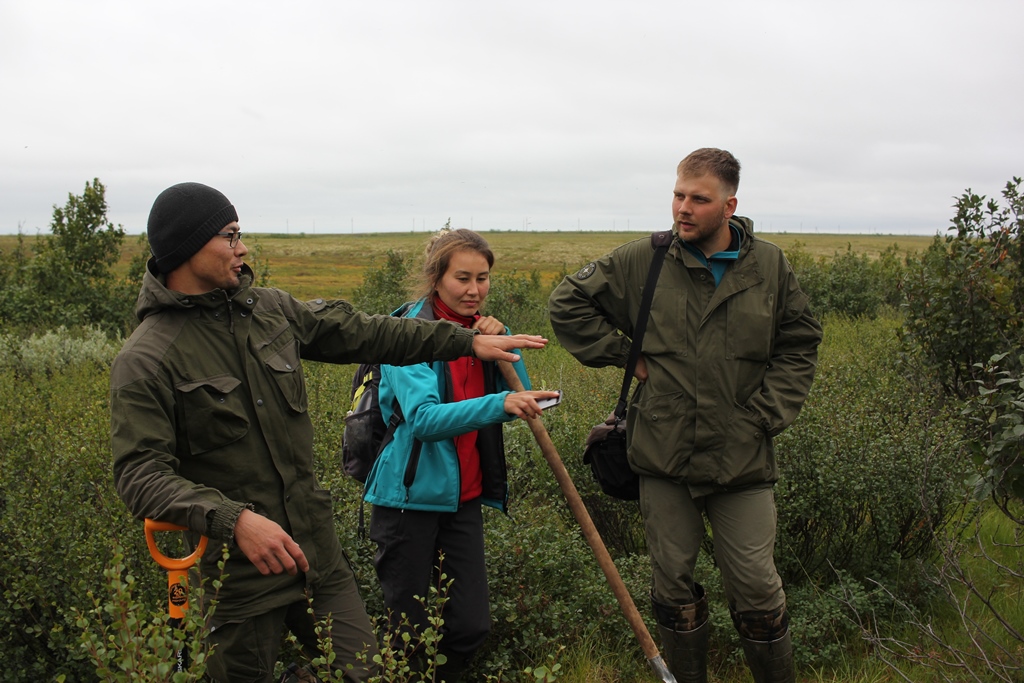 Учёные ТГУ помогут восстановить оленьи пастбища и озеленить Север